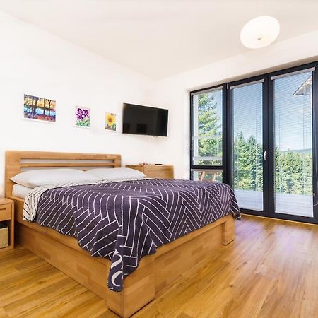 Horsky Apartman Temari 6 Klinovec Лоучна-под-Кліновцем Екстер'єр фото